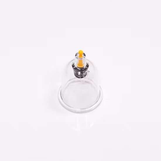 Ventouses de thérapie sous vide PS (6 tailles) Acupuncture
